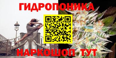 a pvp Новокубанск