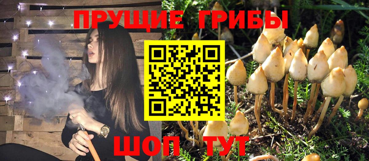 Псилоцибиновые грибы MAGIC MUSHROOMS Учалы